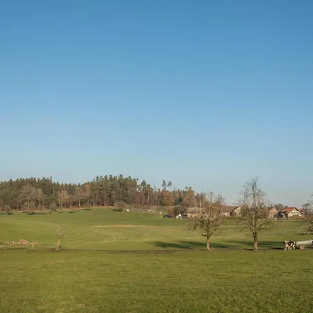 Sauter Romanshorn דירה *