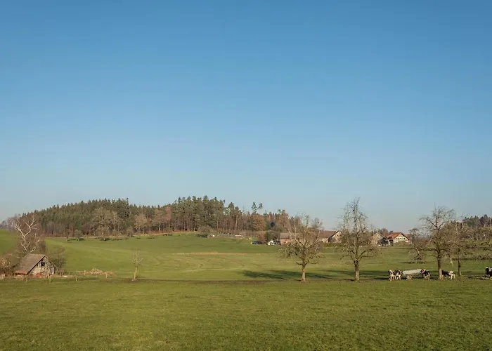 Sauter Romanshorn Daire *